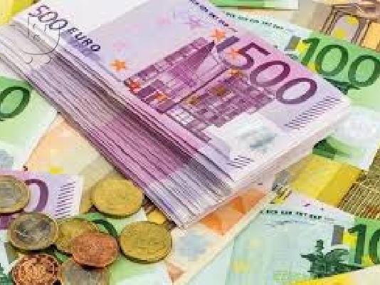 PoulaTo: Γκολντεν καθαροαιμο κουταβακι